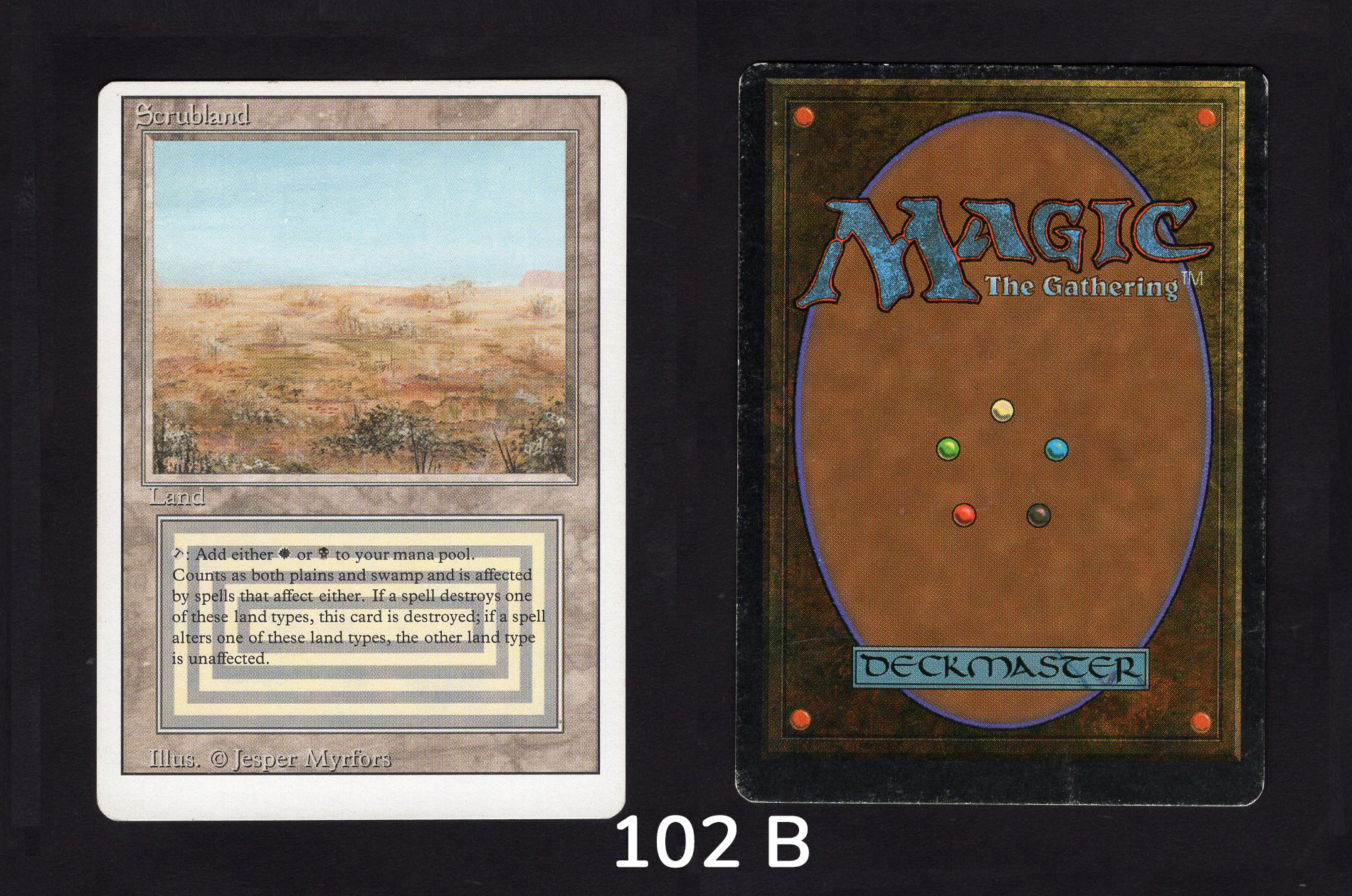 Scrubland - #102b